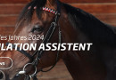 Assistent ist „Galopper des Jahres 2024“